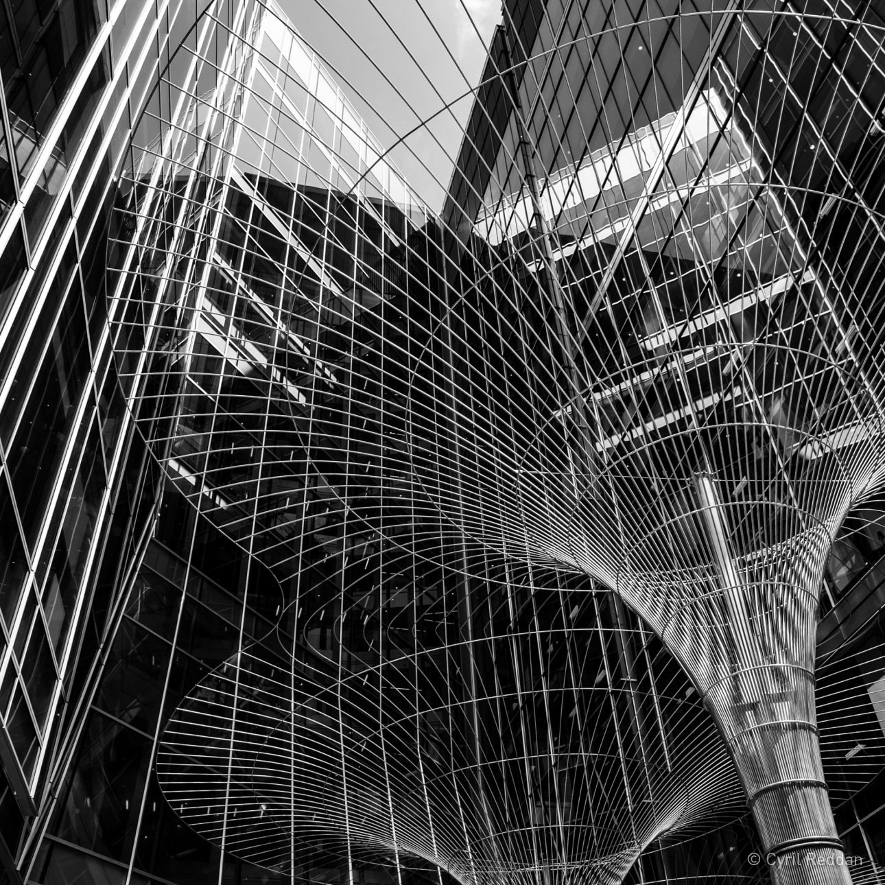 Black and white photo highlighting the architectural design of a Canary Wharf building